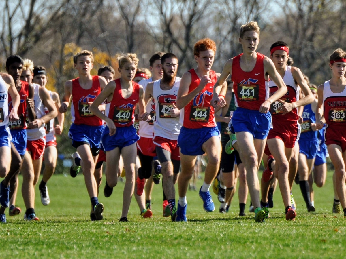 The Carroll High School boys' cross country team competes at the Ohio High School Athletic Association Division II State Championships.